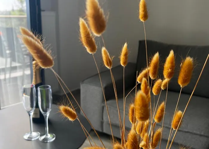 L&s House Appartement