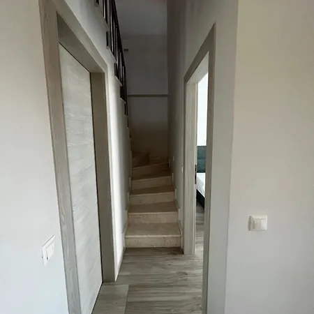 L&s House