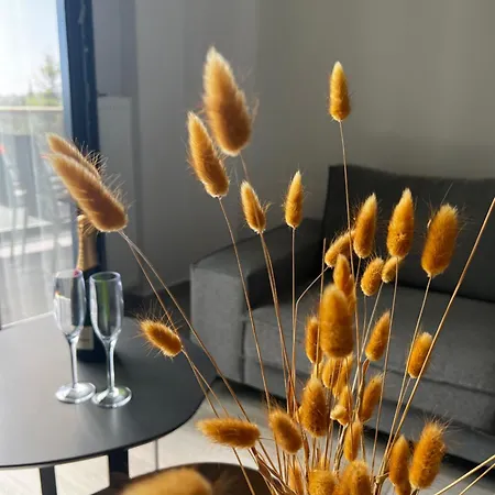 L&s House Apartment